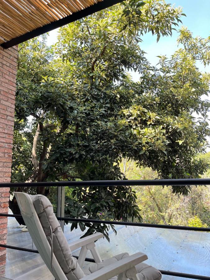 Mi Refugio San Angel Villa Ciudad de México Exterior foto