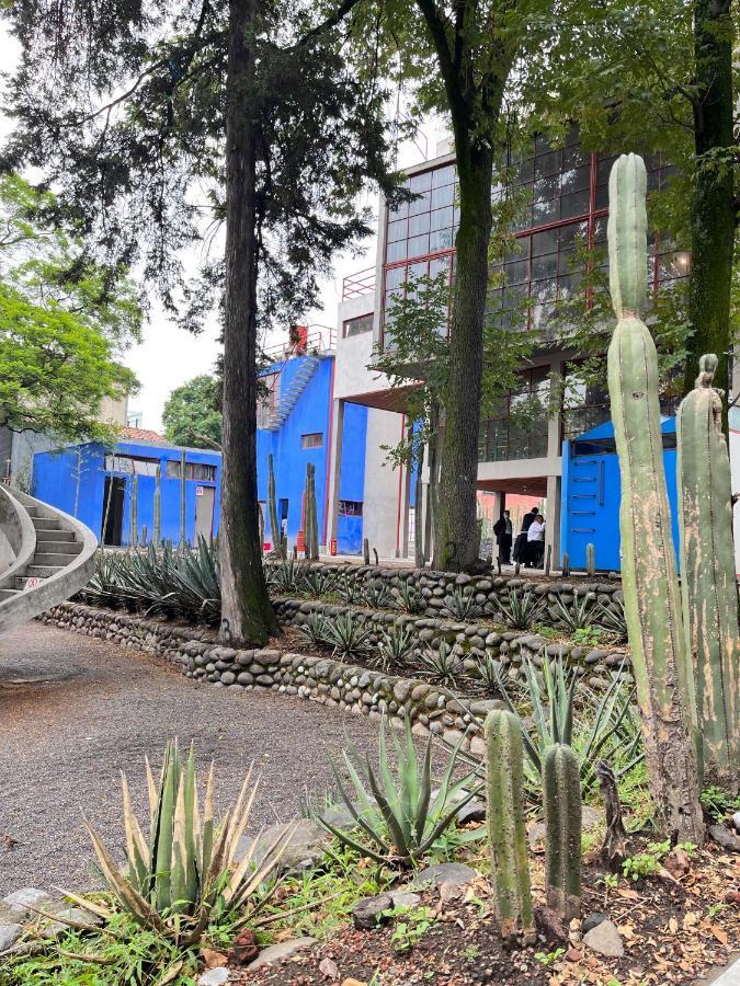 Mi Refugio San Angel Villa Ciudad de México Exterior foto