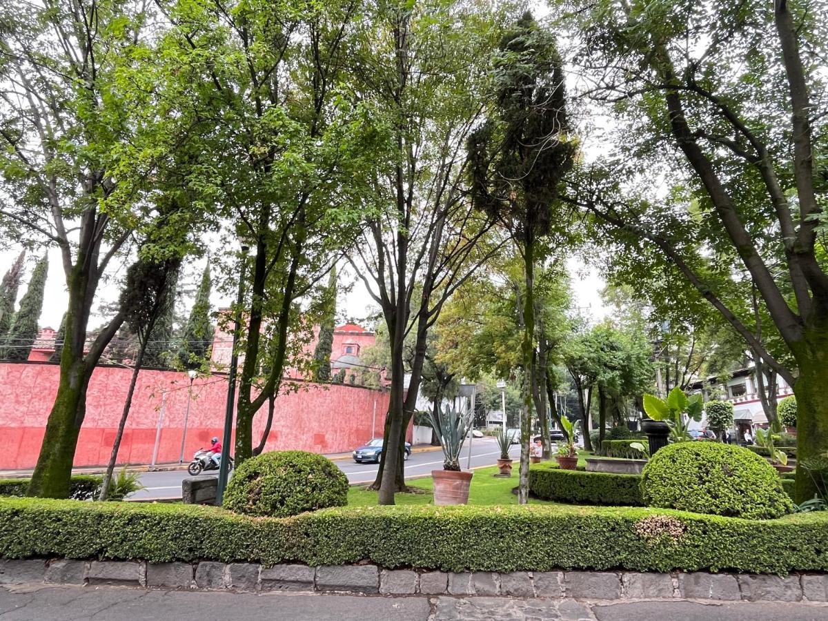 Mi Refugio San Angel Villa Ciudad de México Exterior foto
